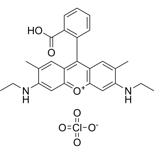 Rhodamine 19 perchlorate 62669-66-3
